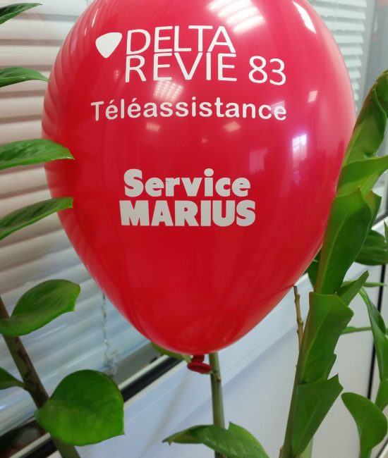 DELTA REVIE 83 BALLON